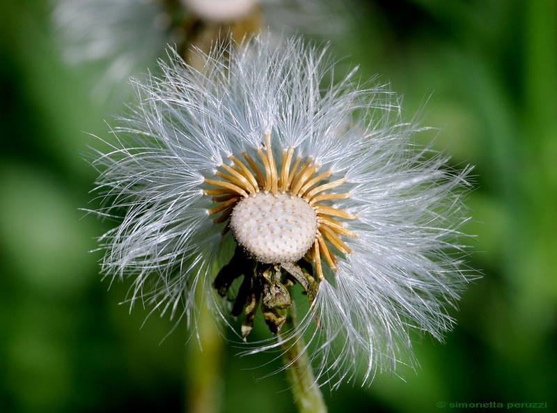 Aria di primavera...